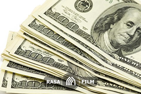 راهکار آمریکا برای بی ثباتی نرخ ارز