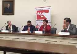برگزاری نشستی در کنگره آمریکا درباره حقوق بشر بحرین