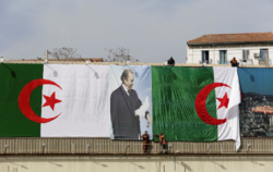 الجزایر با بهاری آرام، اما معقول