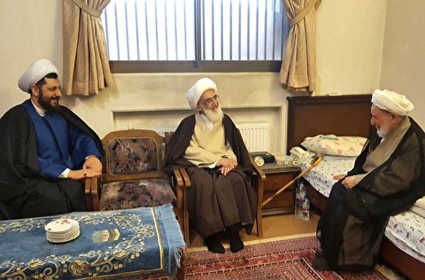 دیدار حضرت آیت الله نوری همدانی و آیت الله یزدی
