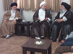 دیدار آیات اراکی و حسینی بوشهری با آیت الله موسوی جزایری