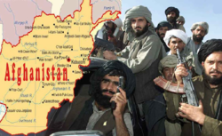 طالبان و گاوگیجه آکادمی و رسانه