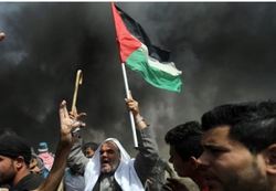 آمار تازه سازمان بهداشت جهانی درباره تلفات غزه