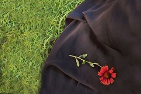 منطق برجامی درباره حجاب