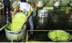 سفره علوی برای اطعام ۴ هزار نفر در مصلای امام خمینی اهواز