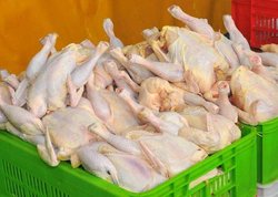 افت ۴۰۰ تومانی نرخ مرغ در بازار
