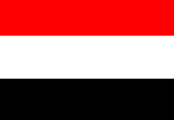 هلاکت عامل ترور برادر رهبر انصارالله یمن