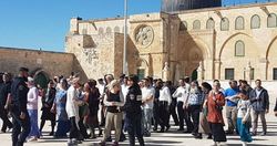 تعرض 735 شهرک نشین یهودی به مسجد الاقصی