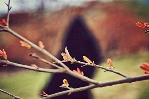 پاسخ به شبهه