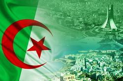 گزارشی از مکانیسم صدور فتوا در الجزایر