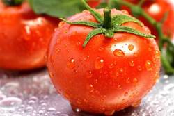 اثرات دارویی مفید گوجه فرنگی