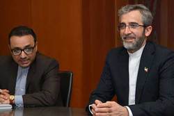 پیشنهادهای ایران در مذاکرات وین مستدل تدوین شده است