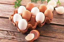 آیا بین تخم مرغ قهوه ای و سفید تفاوتی وجود دارد؟
