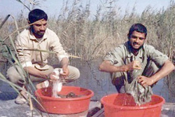 رودستی که رزمنده ایرانی از بیسیمچی عراقی خورد/ حضور «زورو» در اردوگاه تخریب