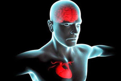 ارتباط فاکتور های پر خطر قلبی با زوال عقل