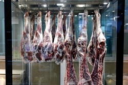 چرا گوشت گران فروخته می شود؟