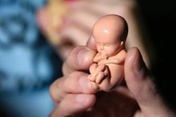 بررسی حکم سقط جنین در ادیان الهی+ فتاوای مراجع جهان تشیع