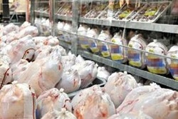 دلایل افزایش قیمت مرغ در بازار/ نهاده هست اما در بازار آزاد!
