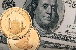 آخرین قیمت دلار و سکه در بازار