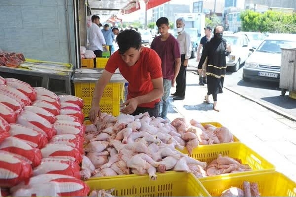 بازار مرغ در معرض تهدید گرانفروشی نهاده