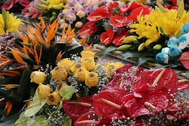 به مناسبت فرارسیدن میلاد باسعادت حضرت زینب سلام الله علیها، حرم آن حضرت با بیش از سی هزار گل اهدایی از سوی بانیان ایرانی، گل‎آرایی شد.