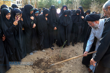 درختکاری طلاب جامعة الزهرا