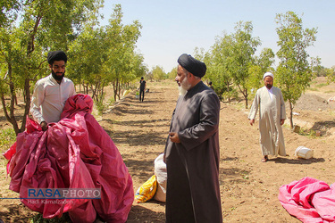 کمک جمعی از طلاب در برداشت محصول عناب به یکی روستاییان خراسان جنوبی