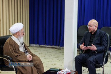 دیدار رئیس مجلس شورای اسلامی با مراجع تقلید در قم