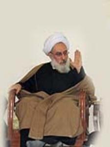 ابراز خوشنودی آیت الله شبستری از کاهش قیمت ها در بازار