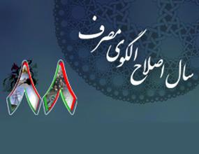 حرکت به سمت اصلاح الگوی مصرف  نیازمند عزم ملی است
