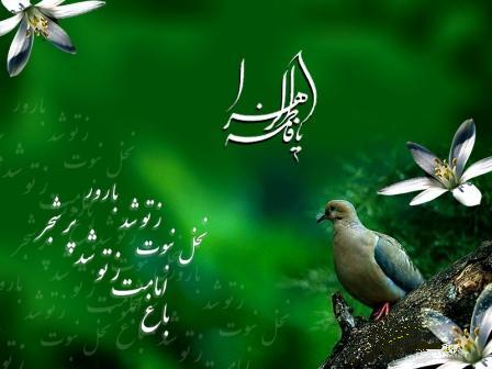 همایش شعر فاطمی در قم برگزار می‌شود
