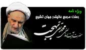 ابعاد شخصیت علمی آیت الله بهجت در سایت اجتهاد بررسی شد