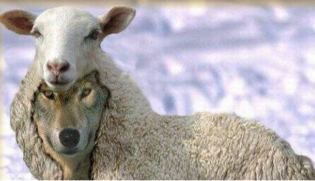نفاق جدید