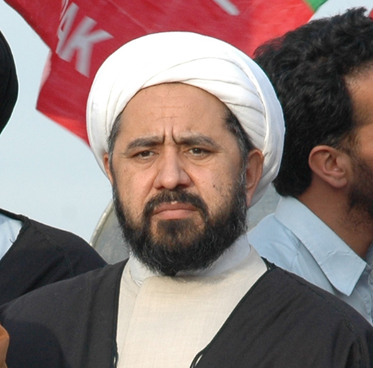 حجت الاسلام محمد امين شہيدي