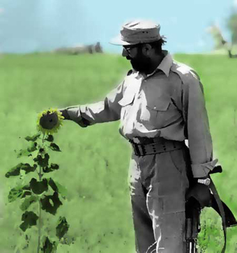 شهيد چمران
