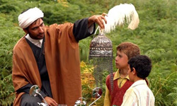 سينه سرخ