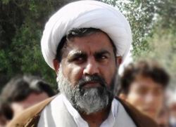 حجت السلام راجہ ناصر عباس جعفري