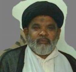 حجت السلام حافظ سيد محمد ثقلين نقوي