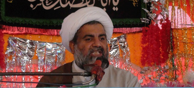 حجت الاسلام راجہ ناصرعباس 