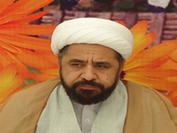حجت الاسلام محمد امين شہيدي
