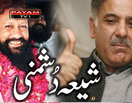وہابي دھشت گرد