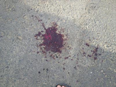 سعوديہ کے شيعوں نے سوگ کا اعلان کيا