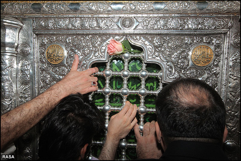 ضریح امامزادگان واجبالتعظیم در شیراز گلباران میشود