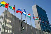 UN chief calls for collective resolve for building a better world