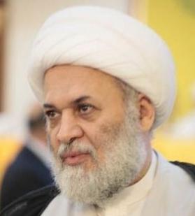 حجت الاسلام شيخ جلال الدين صغير
