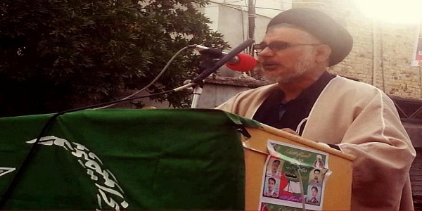 حسن ظفر نقوي