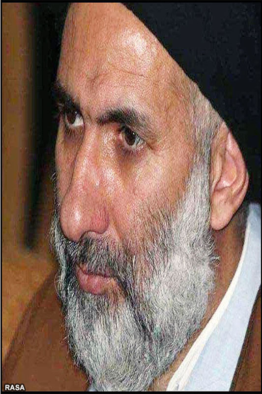 حجتالاسلام سيد ابوالحسن فاطمي