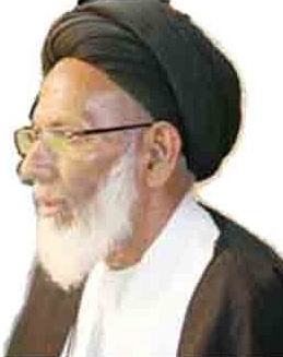 حجت الاسلام سيد شميم الحسن