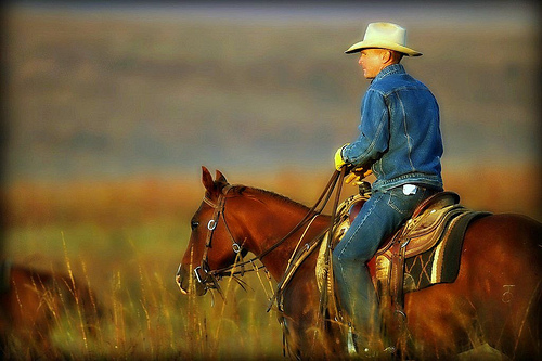 Cowboy