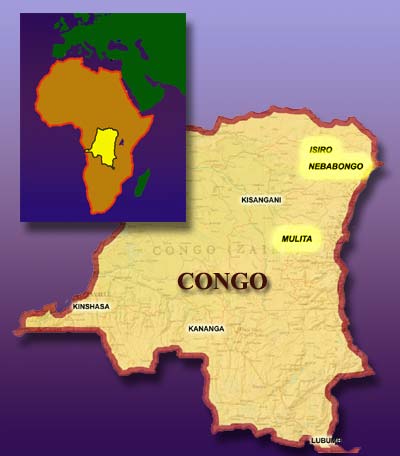 نسل کش کنگویی در دادگاه بین المللی